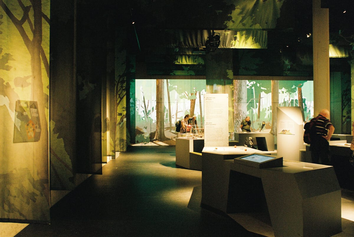 Keltenpark Otzenhausen — Ausstellungsarchitektur